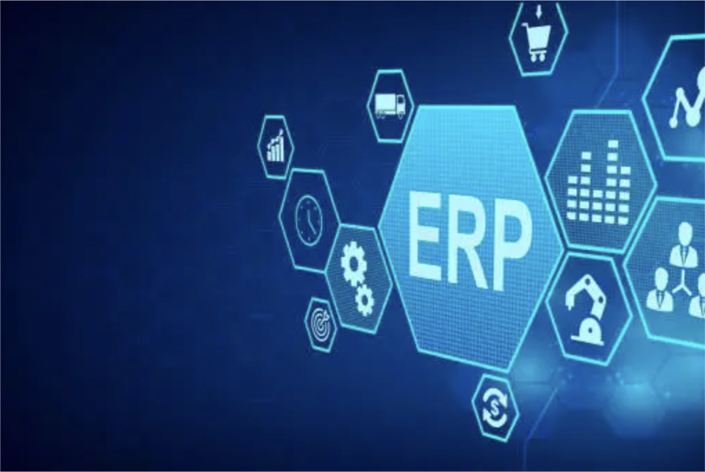 ERP Logo